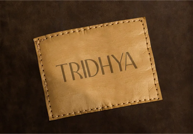 tridhya-6